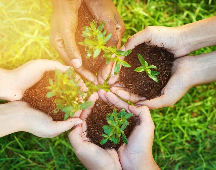 Bäume gemeinsam pflanzen Bäume gemeinsam pflanzen