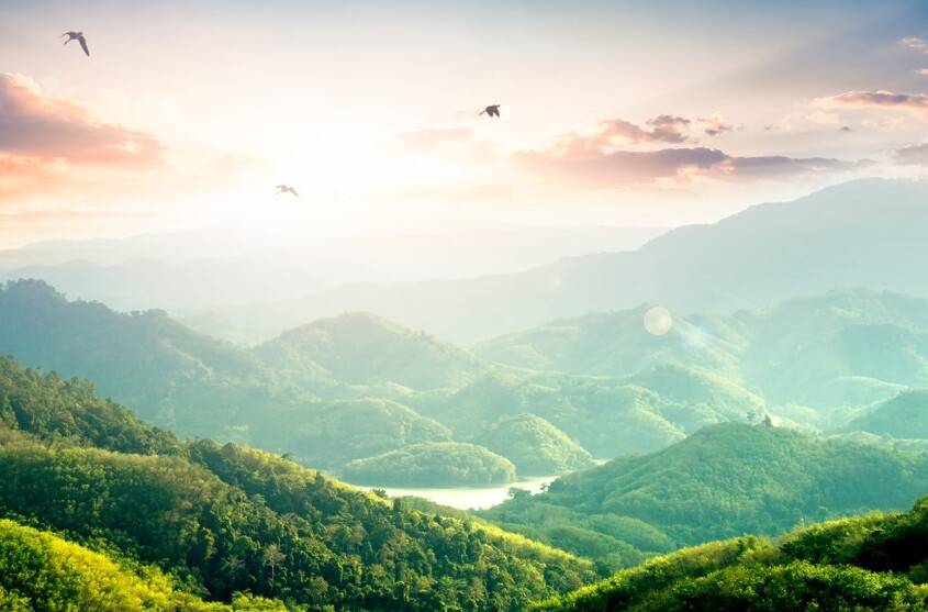 GoAesthetic Engagement für das Klima GoAesthetic Engagement für das Klima